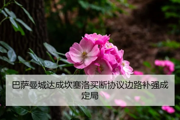 ba-sa-man-cheng-da-cheng-kan-sai-luo-mai-duan-xie-yi-bian-lu-bu-qiang-cheng-ding-ju-1-200.jpg