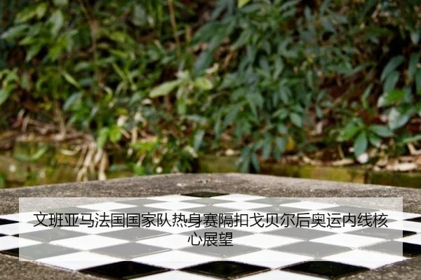 wen-ban-ya-ma-fa-guo-guo-jia-dui-re-shen-sai-ge-kou-ge-bei-er-hou-ao-yun-nei-xian-he-xin-zhan-wang-3-277.jpg
